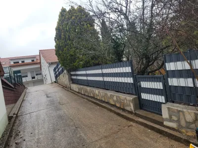 Zaunonkel erobert den Süden in Steinfeld, Rheinland-Pfalz