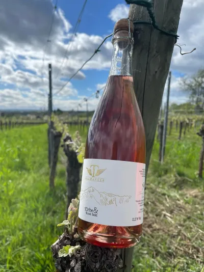 Zirbe & Rose Sekt - Ein Meisterwerk der Natur und Tradition Zirbe & Rose Sekt - Ein Meisterwerk der Natur und Tradition